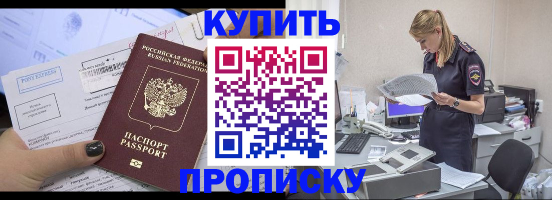 временная регистрация поиск в Камне-на-Оби